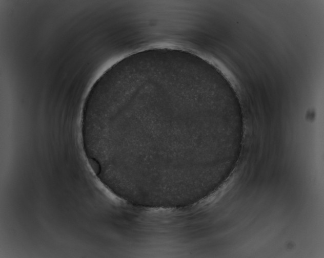 X0000100890902200807220949