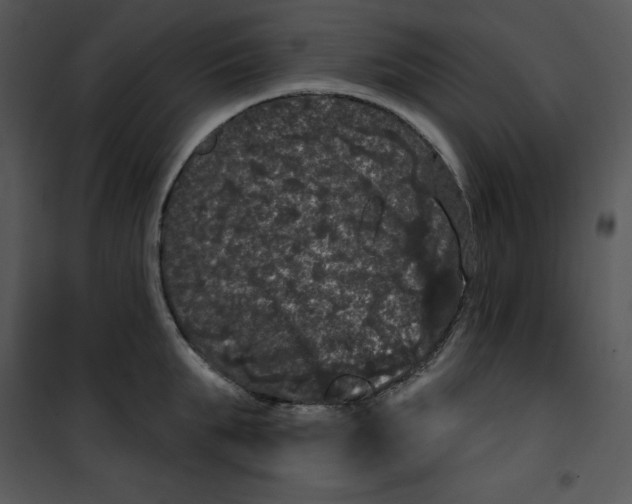 X0000100890903200807220949