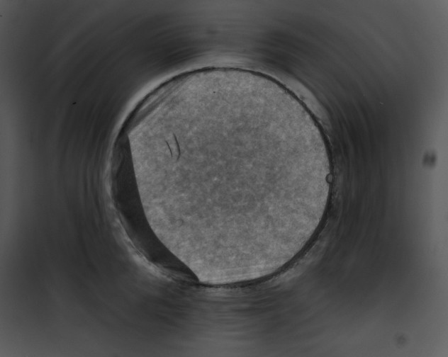 X0000100890904200807220949