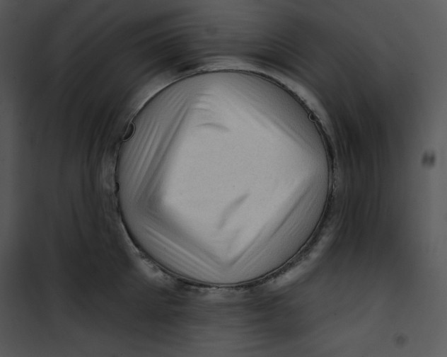 X0000100890905200807220948