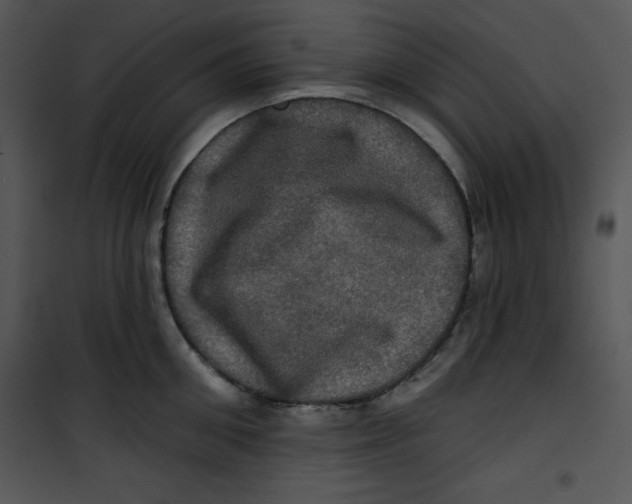 X0000100890906200807220948