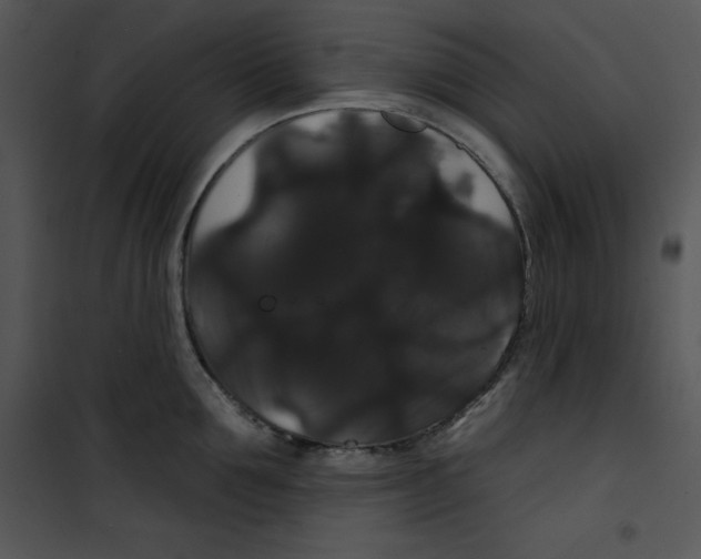 X0000100890907200807220948