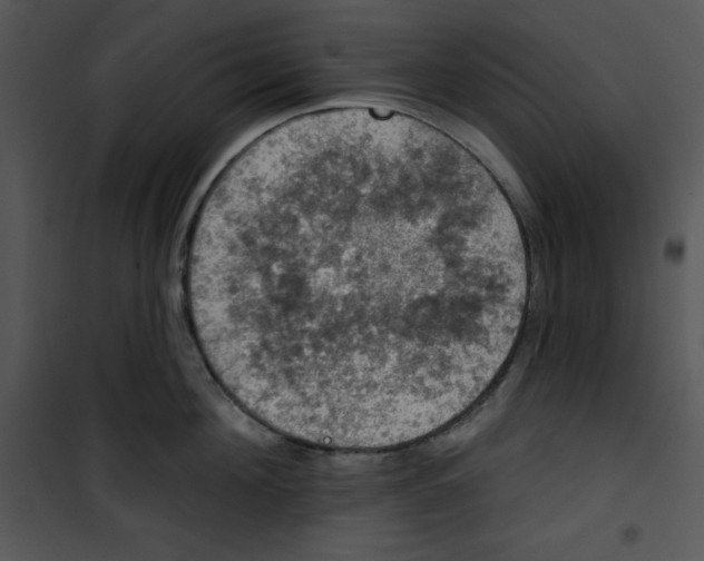 X0000100890908200807220948