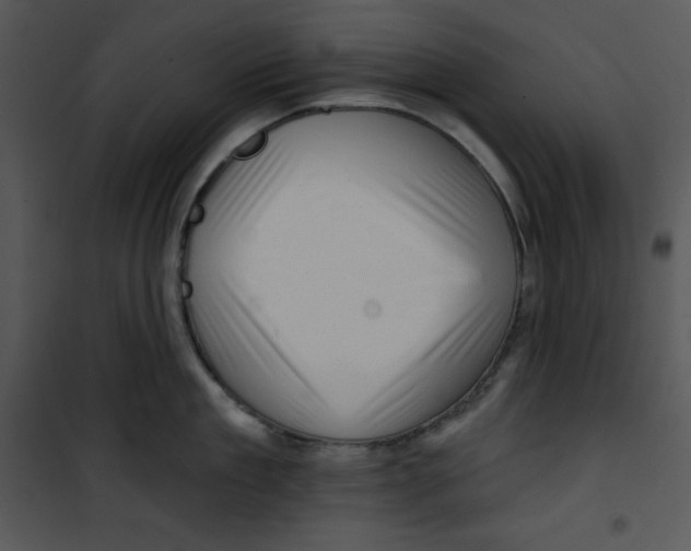 X0000100890909200807220948