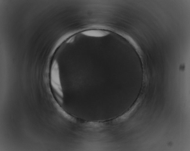 X0000100890910200807220948