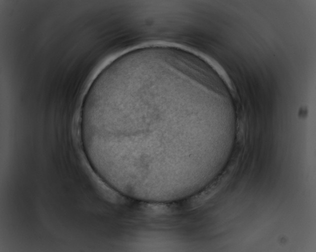 X0000100890911200807220948