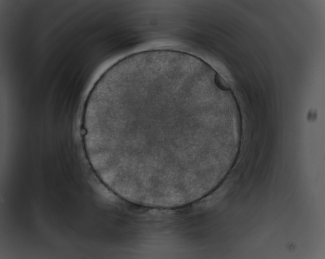 X0000100890912200807220948