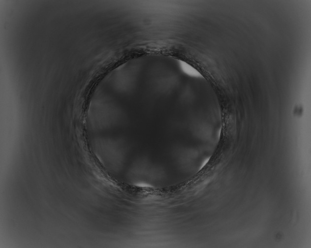 X0000100890913200807220948