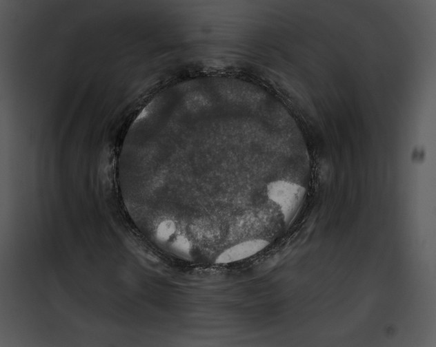 X0000100890914200807220948