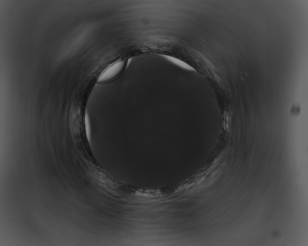 X0000100890915200807220948