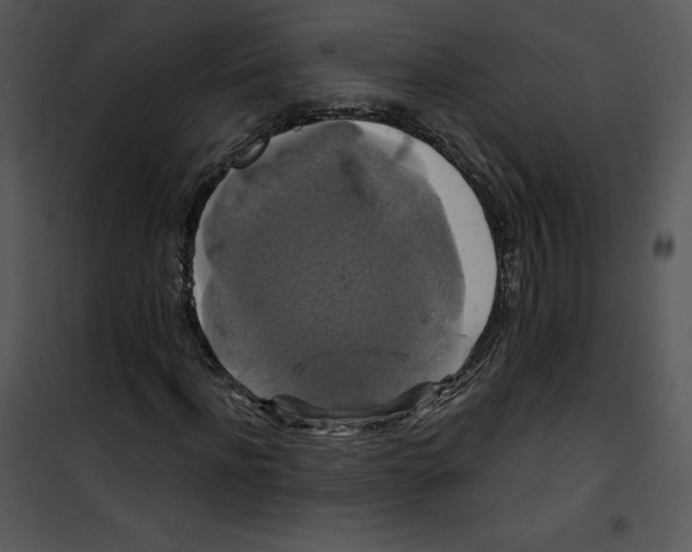 X0000100890916200807220948