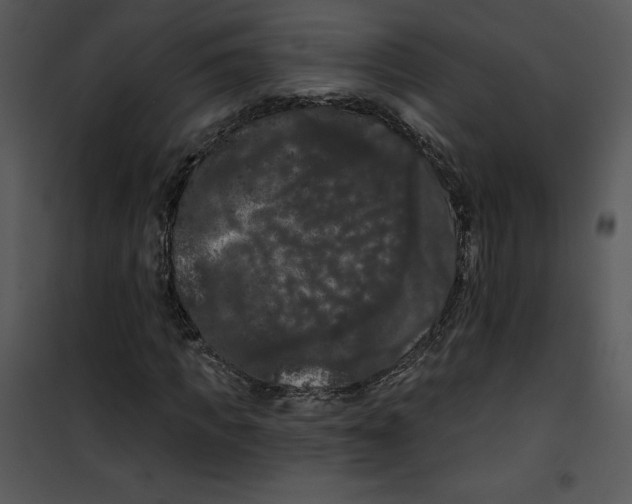 X0000100890917200807220948