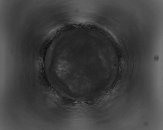 X0000100890918200807220948