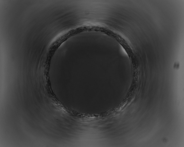 X0000100890919200807220948