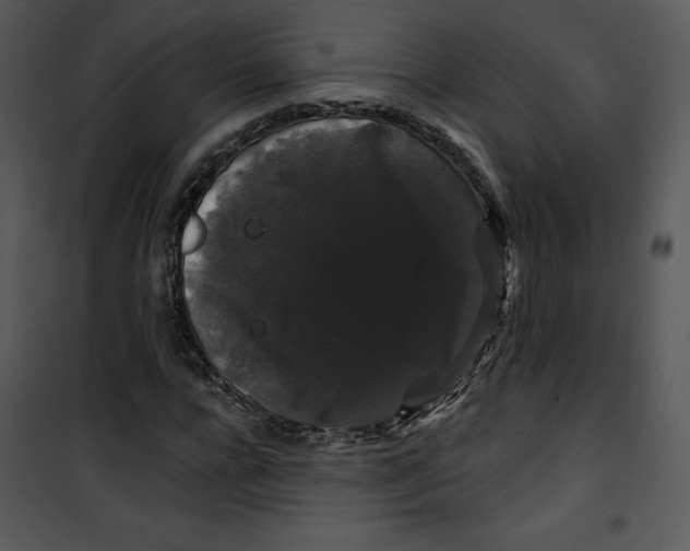 X0000100890920200807220948