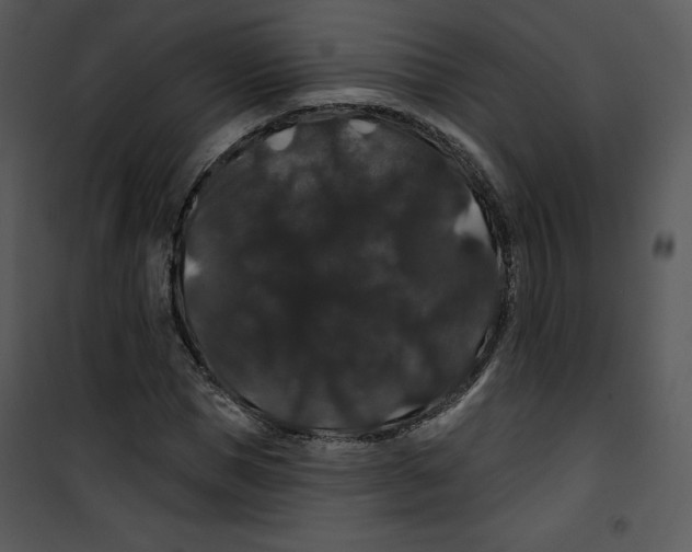 X0000100890921200807220948