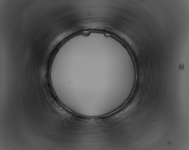 X0000100890922200807220948