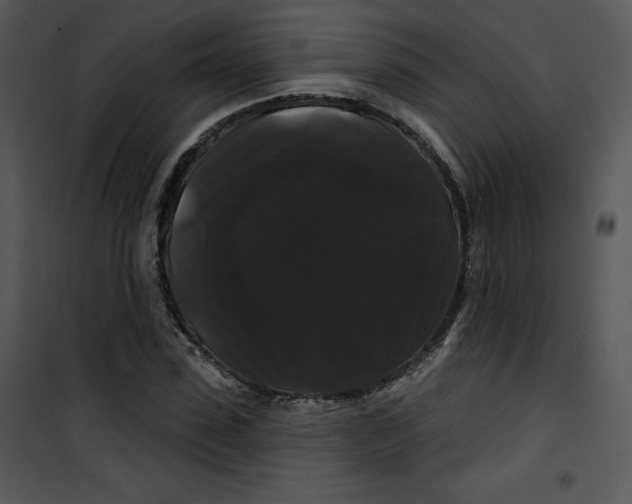 X0000100890923200807220948