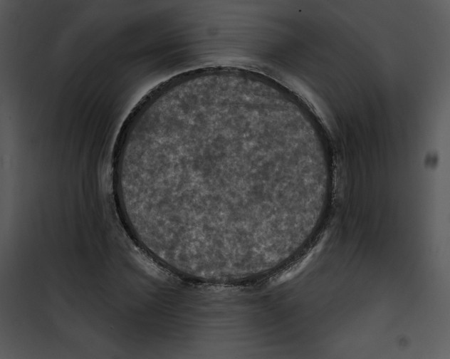 X0000100890924200807220948