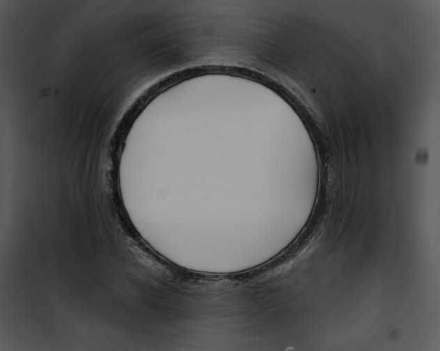 X0000100890926200807220948