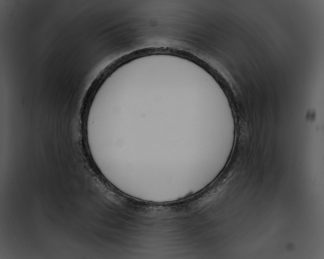 X0000100890927200807220948