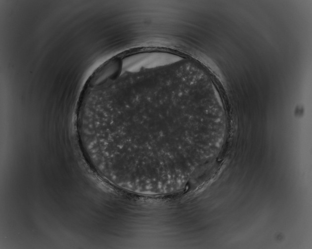 X0000100890928200807220948