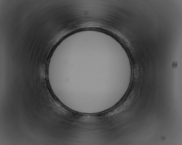 X0000100890929200807220948