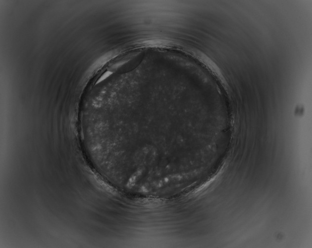 X0000100890930200807220948