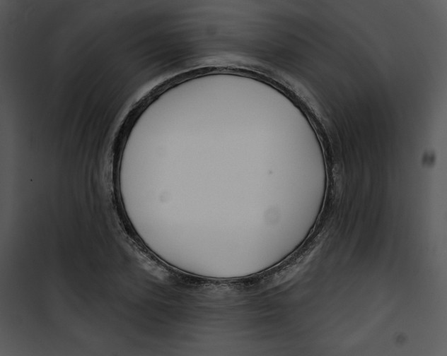 X0000100890931200807220948