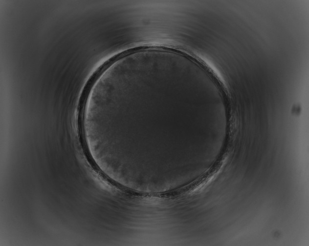 X0000100890932200807220948