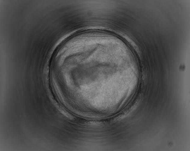 X0000100890933200807220948