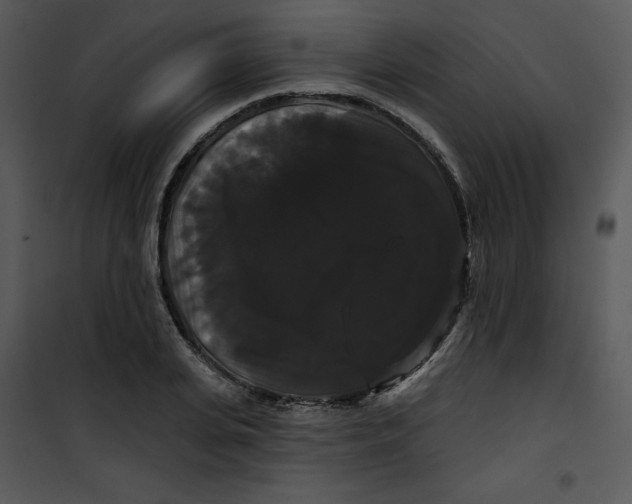 X0000100890935200807220948