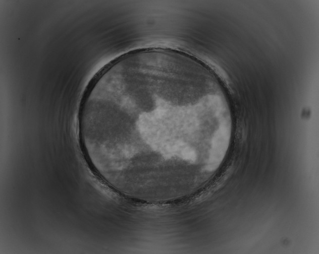 X0000100890936200807220948