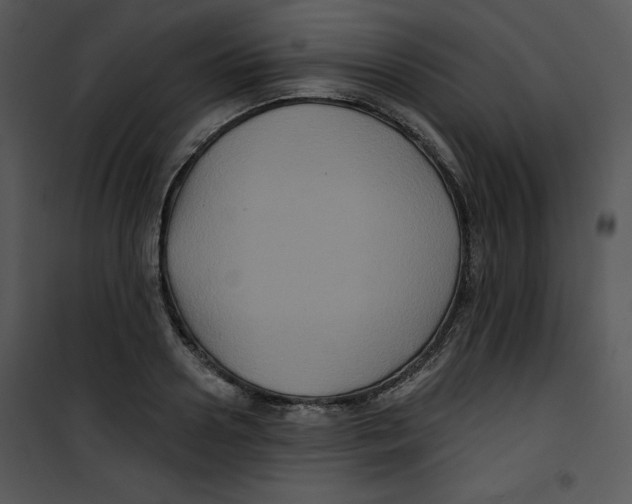 X0000100890938200807220948