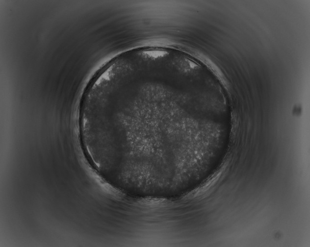 X0000100890939200807220948