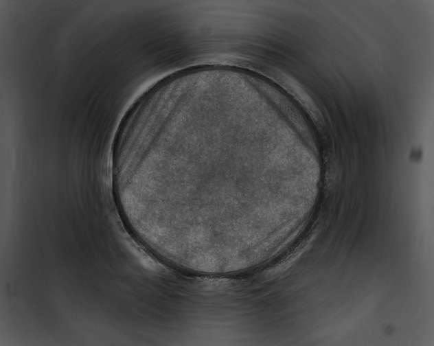 X0000100890940200807220948