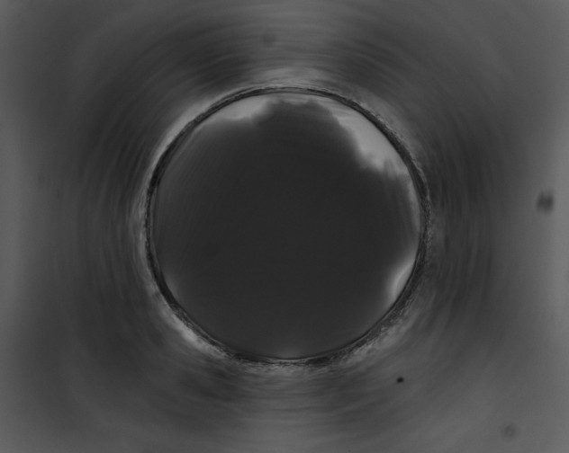 X0000100890941200807220948