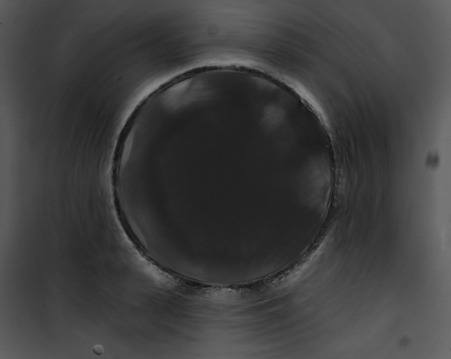 X0000100890943200807220948