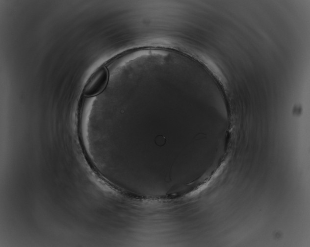 X0000100890944200807220948