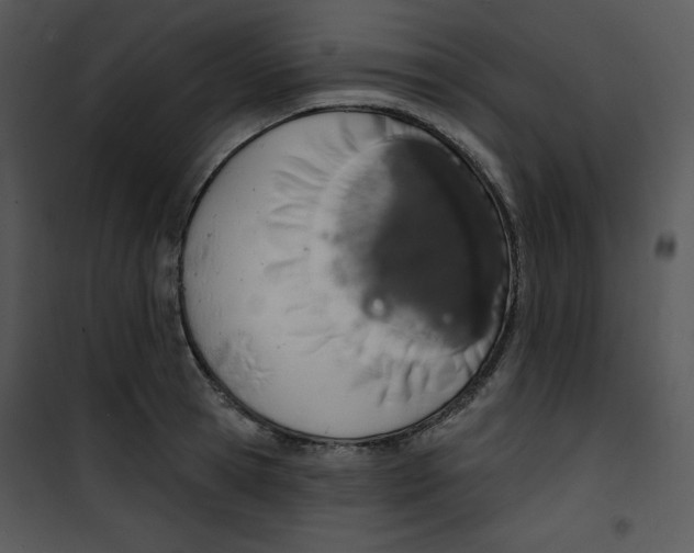 X0000100890945200807220948