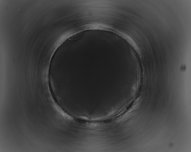 X0000100890946200807220948