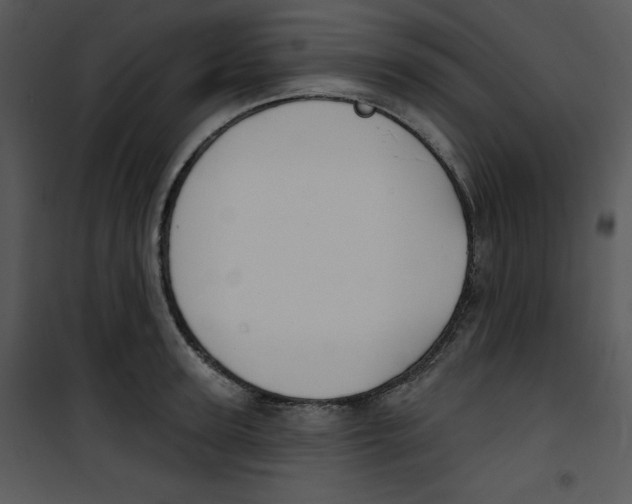 X0000100890947200807220948