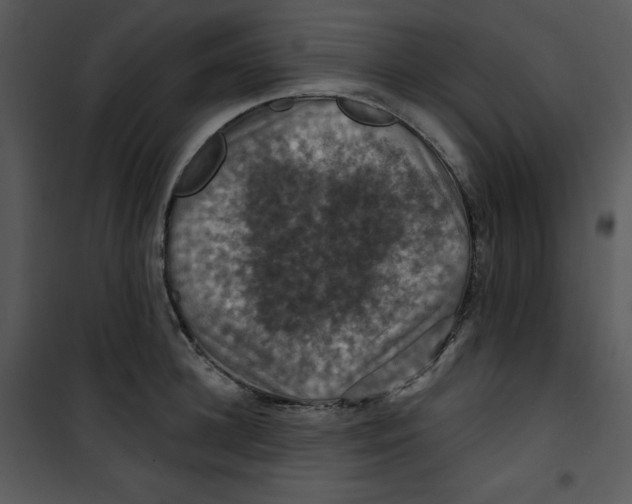 X0000100890948200807220948