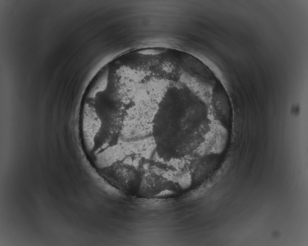 X0000100890949200807220948