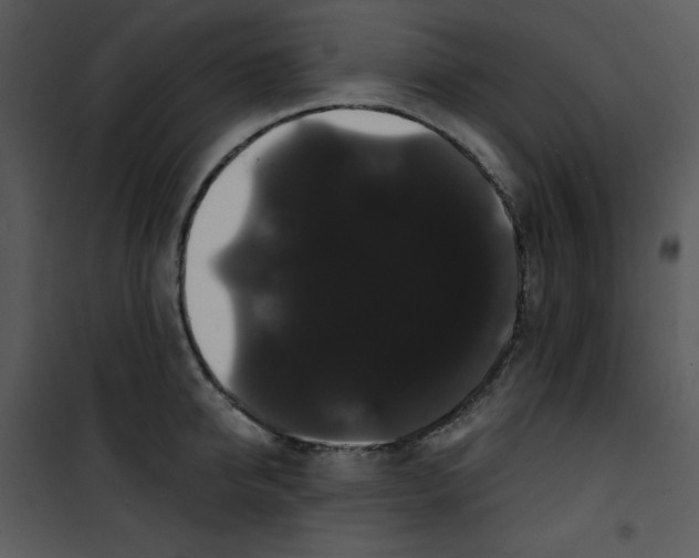 X0000100890950200807220948