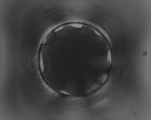 X0000100890951200807220948