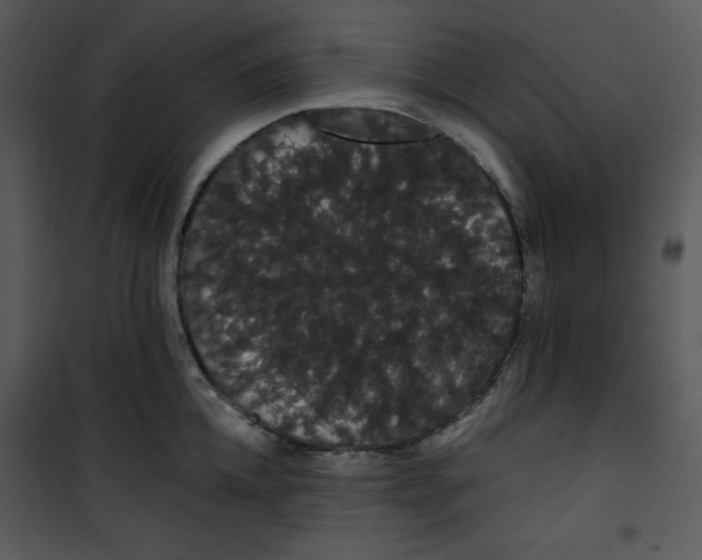 X0000100890952200807220948