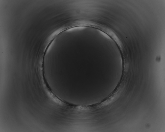 X0000100890954200807220948