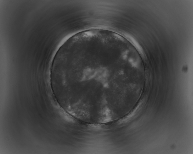 X0000100890956200807220948