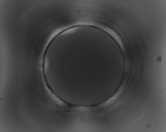 X0000100890958200807220948